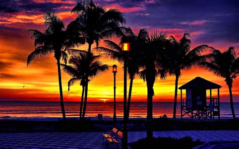 Beach Sunrise Wallpaper (70+ images)