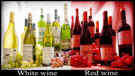 Healthiest wine to drink: red or white? - netivist