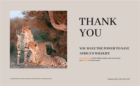 African Wildlife Foundation- website redesign on Behance