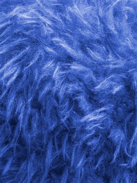 Blue Thick Furry Background Free Stock Photo - Public Domain Pictures
