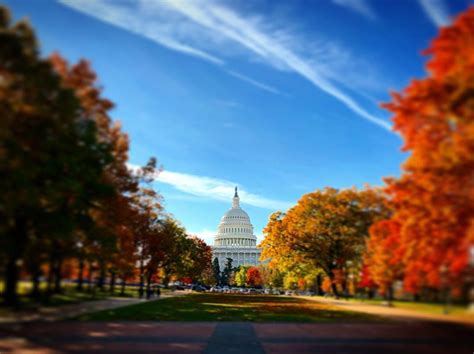 Best Places to Photograph Fall Foliage in DC | Washington.org