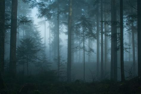 Foggy Photography: How To Capture Misty Landscapes | Skylum Blog