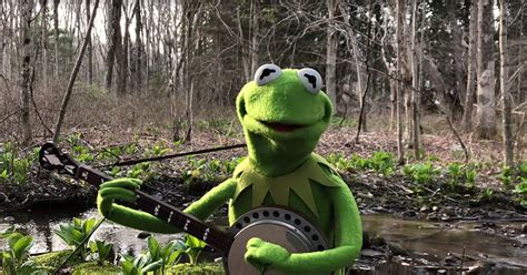 Quirky Kermit the Frog Gives Self-Isolated Performance of “Rainbow ...