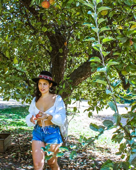 Oak Glen Apple Picking in Southern California - Le Wild Explorer