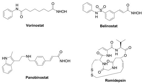 HDAC Inhibitors in Triple Negative Breast Cancer | Encyclopedia MDPI