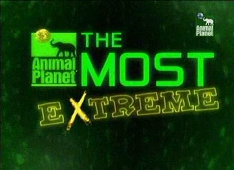 These top 10 most extreme episodes on Animal Planet : nostalgia