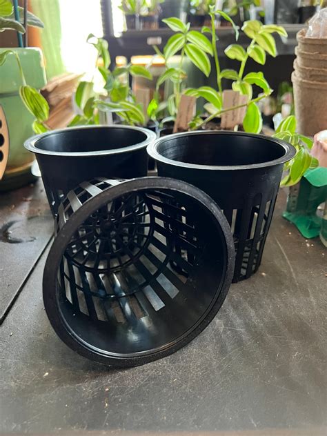 Set of 3! Black 4" orchid pot with good drainage | Plantly