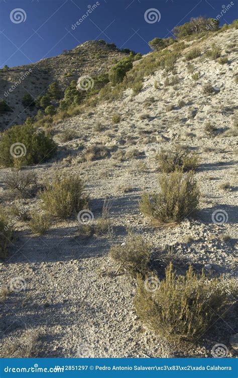 Arid landscape stock image. Image of calm, beauty, hill - 12851297