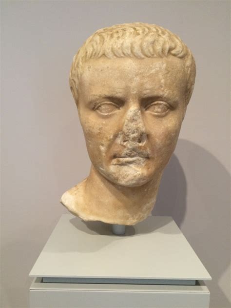 Who doesn’t like MORE busts of Roman emperors? | Richard Bowker