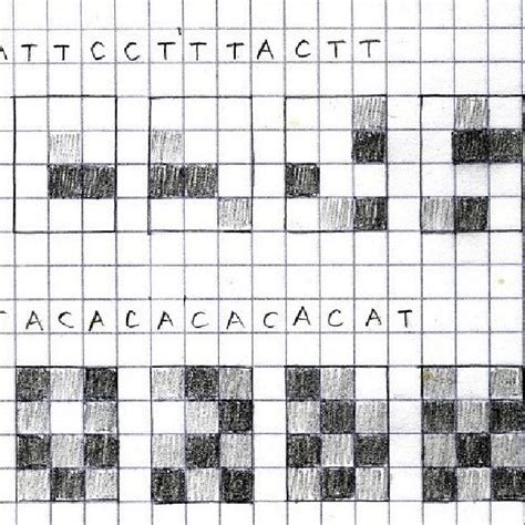 Octopus sinensis -DNA sequences consisting of three different bases ...