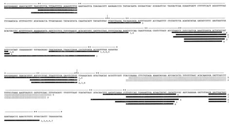 Homologies ( 75 % ; homologies of less than 90 % were due to short ...