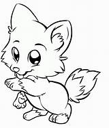 Baby Wolf Coloring Pages  Home sketch template