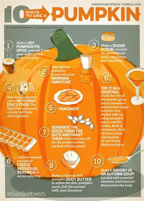 Guide to Using Pumpkin