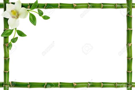 spa frame on the white background | Powerpoint background design, Flower background wallpaper ...