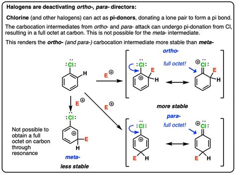 Halogens are deactivating ortho-, para- directors: Chlorine (and other ha..