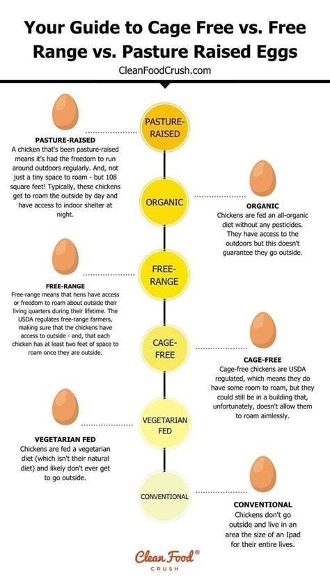 an egg chart with eggs and the words your guide to cage free vs free ...