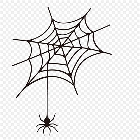 Halloween Spider Web, Spider Drawing, Spider Web Drawing, Web Drawing PNG and Vector with ...