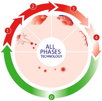 The 4 phases of a cold sore - the cold sore lifecycle