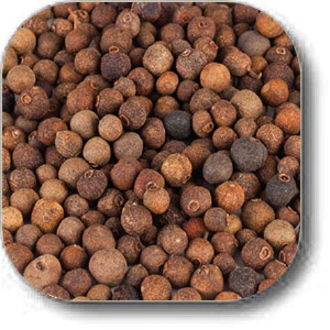 Whole Allspice | Wholesale | MySpicer.com