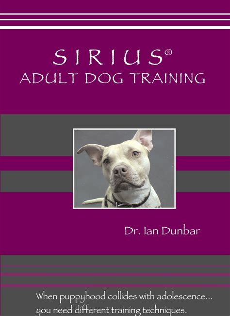 SIRIUS® Adult Dog Training | Dog Star Daily