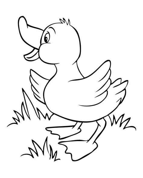 Duck Drawing Outline at GetDrawings | Free download