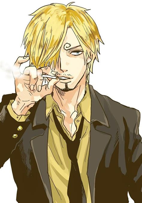 One Piece Sanji After 2 Years