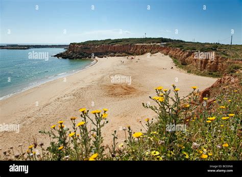 Beaches in La Cala del Aceite Conil de la Frontera Cadiz Andalusia Spain Stock Photo - Alamy