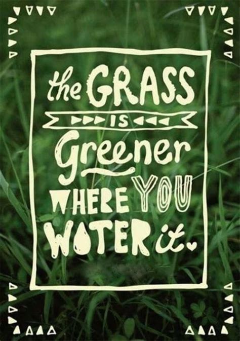 You've heard the saying "The grass is always greener on the other side" but honestly it's NOT ...