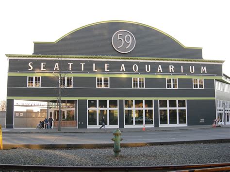 Seattle Aquarium offers a window into the mysterious deepwaters of the ...