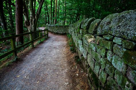 Path In Woods Free Stock Photo - Public Domain Pictures