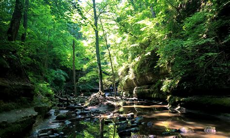 Kickapoo State Recreation Area Archives - Illinois Newsroom