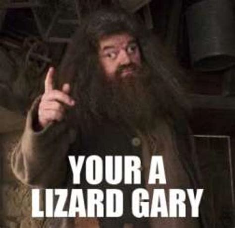 [Image - 239275] | You're a Wizard, Harry! | Know Your Meme