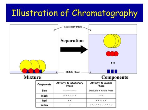 Stationary Mobile Phase And Application Of Gas Chromatography Presentation