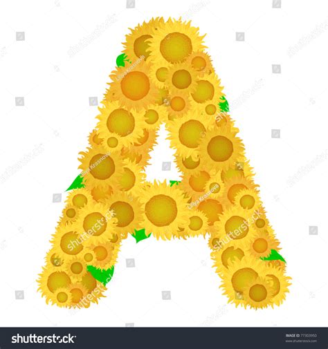 Alphabet From Sunflowers.Letter A Stock Vector Illustration 77303950 ...