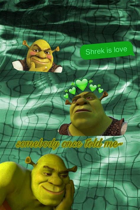 Background Shrek, Shrek Meme, HD phone wallpaper | Peakpx