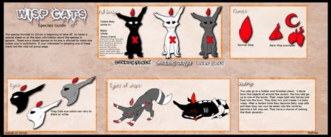 Wisp Cat Species Guide by Wolfvids on DeviantArt