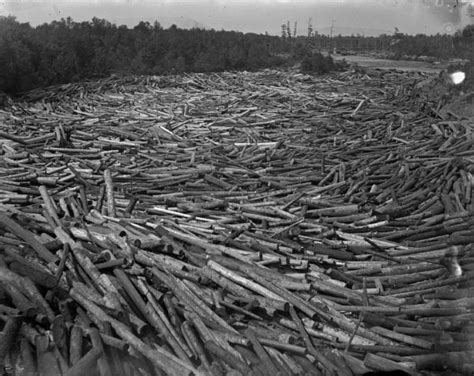 Log Jam | Photograph | Wisconsin Historical Society