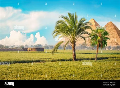 Egyptian agriculture pyramid hi-res stock photography and images - Alamy