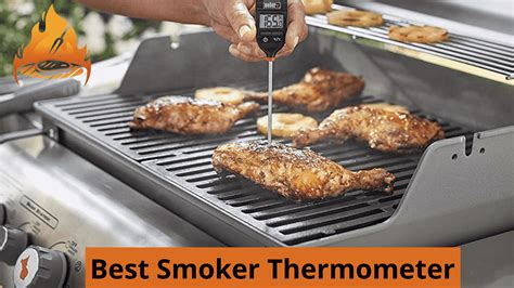 Best Smoker Thermometer | Digital Thermometer For Smoking