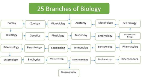 Some branches of biology - Overall Science