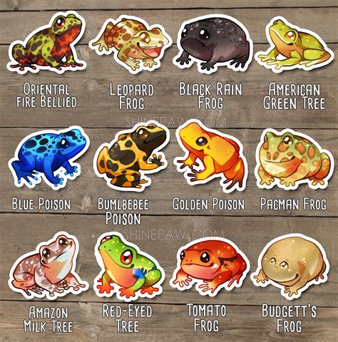 Cute Frog Sticker Set Poison Dart Frog Oriental Fire Bellied | Etsy