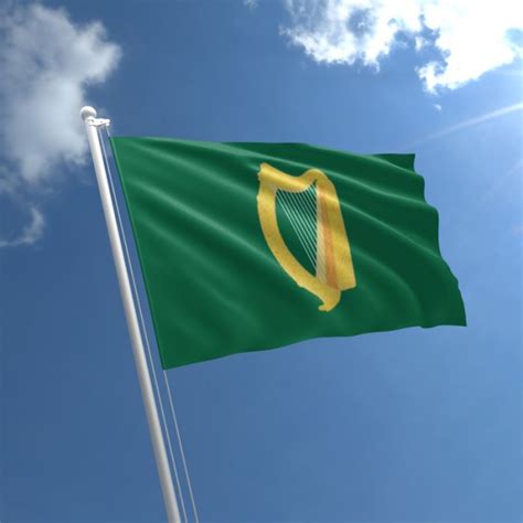 Leinster Flag For Sale | Buy Irish Harp Leinster Flag | The Flag Shop