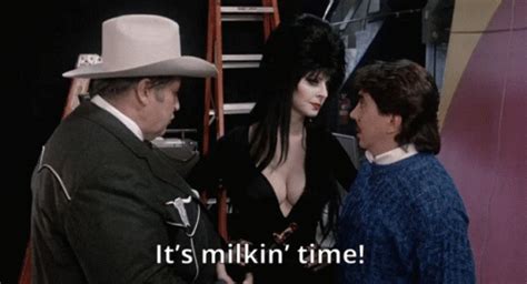 Elvira Mistress Of The Dark GIF - Elvira Mistress Of The Dark Elvira Mistress Of The Dark ...