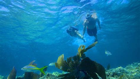 Key West Snorkeling Trips | Double Dip Snorkeling Adventure