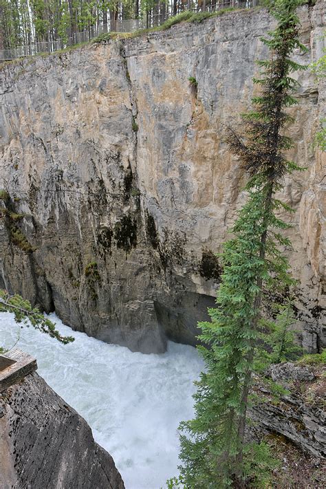 Sunwapta Falls is Worth a Quick Visit - The Gate