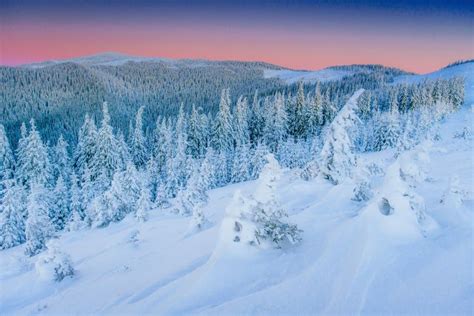 Fantastic Winter Landscape in the Mountains of Ukraine. Stock Image - Image of north, blizzard ...