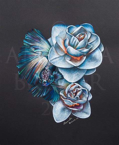 Betta Fish Color Pencil Drawing