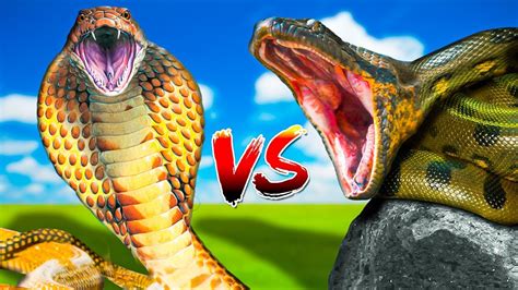 King Cobra vs Anaconda! - YouTube