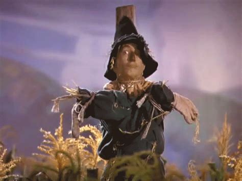 MAGA needs to roll with “Scarecrow Joe” to describe Biden | Political Talk