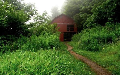 What Are Appalachian Trail Shelters Like? [Discover the Truth]